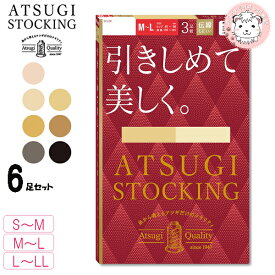 ストッキング アツギストッキング 引きしめて美しく パンティストッキング 3足組2セット FP11113P S-M/M-L/L-LL