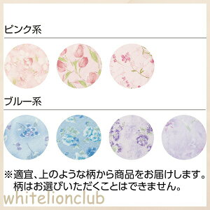 Lg ōpW} OJ Q QԒ M/L | fB[XpW} pW} SJpW} 킢 { iCgEFA z[EFA [EFA