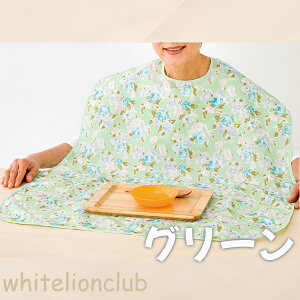 HpGv p h H { Hׂڂ  H Gv ͂  pi p @ Vlz[ { HGv Ȃ