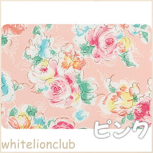 HpGv p h H { Hׂڂ  H Gv ͂  pi p @ Vlz[ { HGv Ȃ