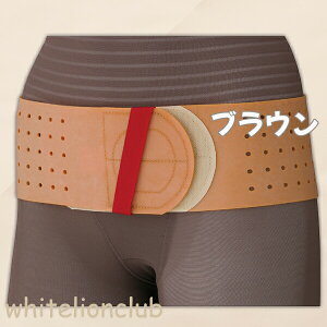 S ՃT|[gxg Օ␮   Ջ ^Cv M/L/LL | jp Ճoh Ճxg {