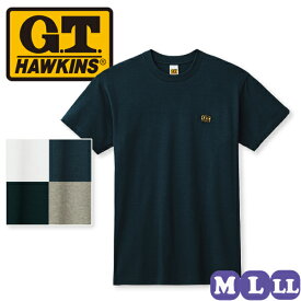 tシャツ メンズ 半袖 グンゼ G.T.HAWKINS ホーキンス Tシャツ 丸首 クルーネック 綿100% HK2113B M/L/LL