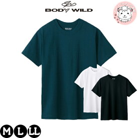 ヘビーウェイトTシャツ GUNZE グンゼ BODY WILD ボディワイルド アウターT 綿 BW5213 BW1913 M/L/LL