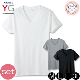 グンゼ YG ワイジー メンズ コットン100% 半袖 VネックTシャツ YV0015V 2枚セット M/L/LL/3L
