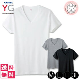 グンゼ YG ワイジー メンズ コットン100% 半袖 VネックTシャツ YV0015V 10枚セット M/L/LL/3L