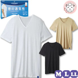 半袖 Vネック Tシャツ 6枚セット メンズ グンゼ クールマジック 吸汗天竺 VネックTシャツ 日本製 MC1815H M/L/LL