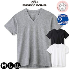 tシャツ メンズ 半袖 VネックTシャツ 2枚組 グンゼ ボディワイルド V首Tシャツ BW5015A M/L/LL おためし