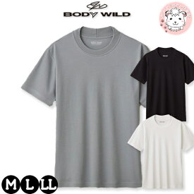 tシャツ メンズ 半袖 クルーネックTシャツ グンゼ ボディワイルド ジャケット対応 丸首Tシャツ BW5413B M/L/LL おためし