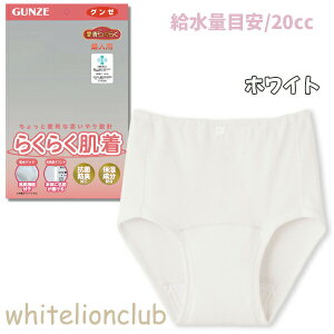 O[ 炭炭 zV[c 炭炭 20cc 100% ێ RۖhL M/L/LL | ȍ n fB[X VjA     Ci[ HW4070 GUNZE