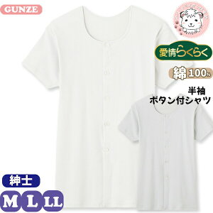yAEgbgzVc Ci[ O[ GUNZE 炭炭 炭炭 jp  {^t O Vc HWB214 L O[