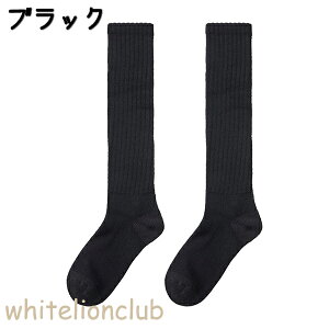 O[ AZh t@C[AZh L zM  H~ fB[X AN AGW503 22-24cm nC\bNX C \bNX GUNZE ASEDORON