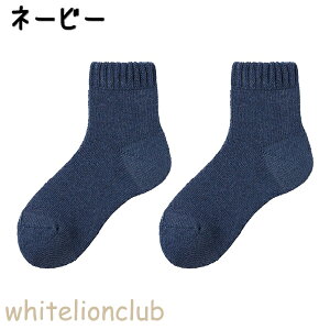 O[ AZh t@C[AZh L zM  H~ fB[X AN AGW504 22-24cm V[gpC҂݌C C \bNX GUNZE ASEDORON