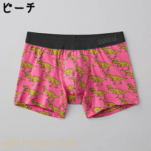 O[ {fBCh {NT[pc DESIGN OƂ M/L | ȍ ȃxAV T.Rex Y    Ci[ BWG192A GUNZE BODY WILD