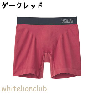 O[ {fBCh {NT[pc Z~O e-BOXER RۖhL ̐^ OƂ M/L | SJ[ؑ Y iC   Ci[ BWS612A GUNZE BODY WILD