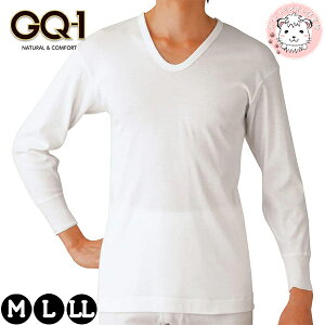 O[ GQ-1  U 2g RۖhL 100 M/L/LL | ݌v 炩H eDȂ n Y  TVc T   Ci[ GQA510G GUNZE gq-1