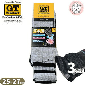 �O���[ �z�[�L���X �C�� 5�{�w 3���g 25-27cm | �ȍ� �A�[�`�T�|�[�g ����e�[�s���O�݌v �����Y �|���G�X�e�� �\�b�N�X ���� ���� �C���i�[ GHT061 GUNZE G.T.HAWKINS