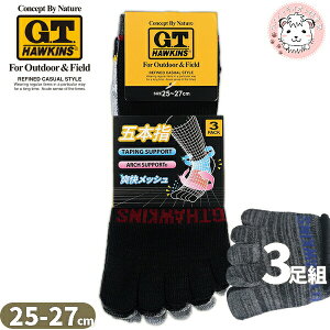 �O���[ �z�[�L���X �C�� �V���[�g�� 5�{�w 3���g 25-27cm | �ȍ� �A�[�`�T�|�[�g ����e�[�s���O�݌v �����Y �|���G�X�e�� �\�b�N�X ���� ���� �C���i�[ GHT062 GUNZE G.T.HAWKINS