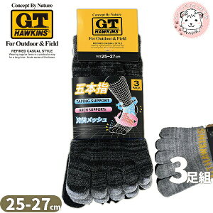 �O���[ �z�[�L���X �C�� �X�j�[�J�[�\�b�N�X 5�{�w 3���g 25-27cm | �ȍ� �A�[�`�T�|�[�g ����e�[�s���O�݌v �����Y �|���G�X�e�� �\�b�N�X �C���i�[ GHT063 GUNZE G.T.HAWKINS