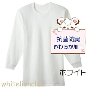 O[ ۉ  ێ g\tg 2g RۖhL {̖100% S/M/L/LL | 炩H Y H~ H ~  Vc Ci[   RP6508A GUNZE