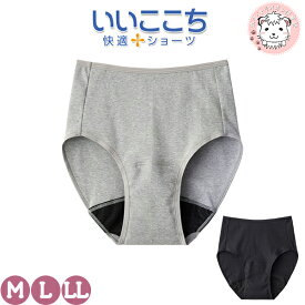 グンゼ いいここち サニタリーショーツ 抗菌防臭 消臭 綿100% M/L/LL | 綿混 股上深め ローレッグ レディース 綿 レギュラーショーツ パンツ 下着 肌着 インナー HV7070P GUNZE