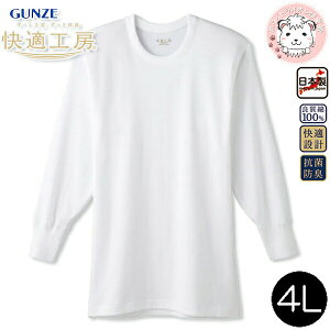 O[ KH[  ێ RۖhL 100% 4L | eDȂ 傫 rbNTCY n Y    Ci[ KQ3008 GUNZE