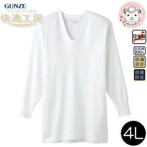 O[ KH[  U RۖhL 100% 4L | eDȂ 傫 rbNTCY n Y  UlbN   Ci[ KQ3010 GUNZE