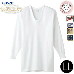 O[ KH[  U RۖhL 100% LL | eDȂ 傫 rbNTCY n Y  UlbN   Ci[ KQ3010 GUNZE