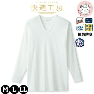 O[ KH[  U 䒷 RۖhL 100% M/L/LL | eDȂ 炩 ݌v n Y  UlbN   Ci[ KQ3012 GUNZE