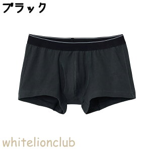 O[ KH[ {NT[u[t RۖhL O M/L/LL | ȍ Xgb`Rbg n Y  {NT[pc   Ci[ KQ5181 GUNZE