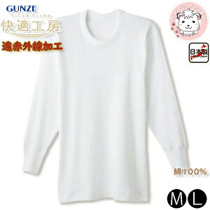 O[ KH[  ێ ԊOH 100% RۖhL ێ ۉ M/L | eDȂ ݌v H~ H ~ n Y    Ci[ KQ6008 GUNZE