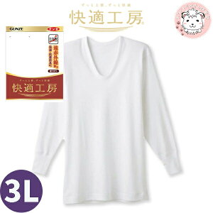 O[ KH[  U ԊOH 100% ۉ RۖhL ێ 3L | eDȂ  傫 H~ H ~ n Y    Ci[ KQ6010 GUNZE