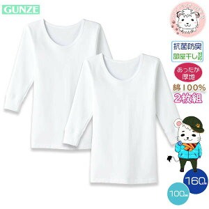 O[ q Vc 2g 100 RۖhL 100cm-160cm |  ݍL H~ H ~ j̎q wZ {[C    Ci[ BF2350C GUNZE