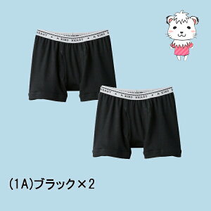 O[ q {NT[pc 2g 100% RۖhL O 100cm-160cm | j̎q j LbY WjA    Ci[ BF8150C GUNZE