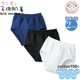 グンゼ 子供肌着 ブリーフ 2枚組 綿100% 抗菌防臭 前あき 100cm-160cm | 男の子 男児 キッズ ジュニア 綿 下着 肌着 インナー BF950C GUNZE