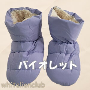 O[ E`R [V[Y u[c^Cv oEhq[^[ L zM ۉ 23-25cm | 􂦂 H~ H ~ fB[X |GXe Xbp AUY501 GUNZE UCHI-COLLE