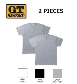 tシャツ メンズ 半袖 V首 グンゼ ホーキンス Vネック Tシャツ 2枚組 HK10152 M/L/LL