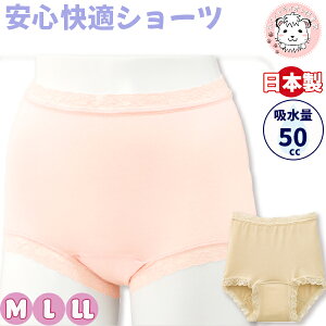 S KV[c n փV[c zV[c wlp KSV[c L { z50cc M/L/LL ߂ tFPA tFebN