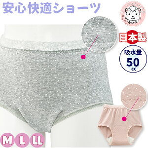 S KV[c ʕ փV[c zV[c wlp KSV[c RۖhL { z50cc M/L/LL ߂ tFPA tFebN