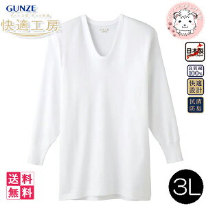 O[ KH[ Y UVc { KQ3010 5Zbg 3L 傫TCY