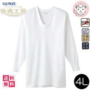 O[ KH[ Y UVc { KQ3010 5Zbg 4L 傫TCY