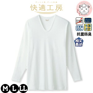  Ci[Vc Y O[ KH[ UVc 䒷 100% { KQ3012 M/L/LL ߂