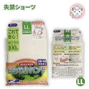 փV[c 100ccΉ RۖhL L 100 LL | y֑Ή  ʉ@ fB[X  zV[c V[c pc  Ci[