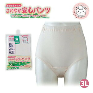 Spc 60ccΉ RۖhL z 100 3L | KhC 傫߃TCY y AR   ʉ@ fB[X  zV[c V[c pc Ci[