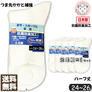 n[t\bNX 2g5Zbg  u҂ XN[\bNX n { 24-26cm | R hL C   w w iw i w Vw