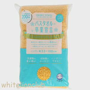 oX^IƐ錾 OtFCX^I 33×100cm | XoX^I n ^I Vv z J[^I ӂӂ