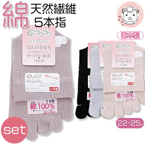 5{w\bNX 2Zbg fB[X ق̂ SȂ 5{wC 5{w \bNX C  { 22-25cm