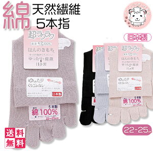 5{w\bNX 3Zbg fB[X ق̂ SȂ 5{wC 5{w \bNX C  { 22-25cm