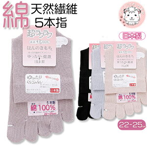 5{w\bNX fB[X ق̂ SȂ 5{wC 5{w \bNX C  { 22-25cm