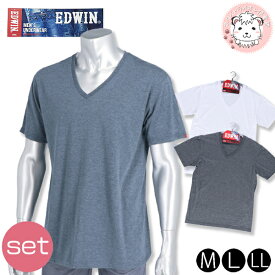 tシャツ 2枚セット 半袖 メンズ Vネック Tシャツ エドウィン EDWIN VネックTシャツ M/L/LL