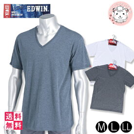 tシャツ 6枚セット 半袖 メンズ Vネック Tシャツ エドウィン EDWIN VネックTシャツ M/L/LL